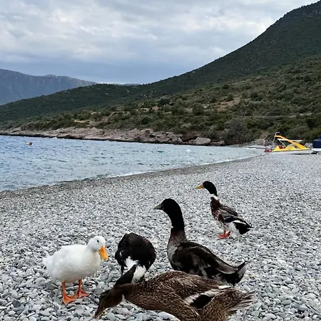 דירה Tsakoniki Filoxenia! לאונידיון