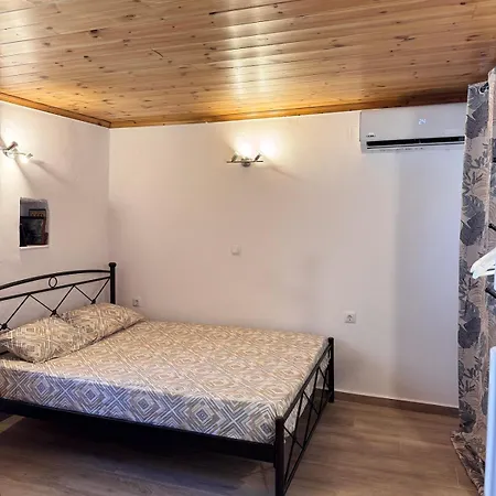 Tsakoniki Filoxenia! דירה לאונידיון