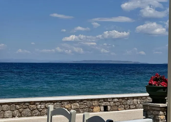 Tsakoniki Filoxenia! Διαμέρισμα