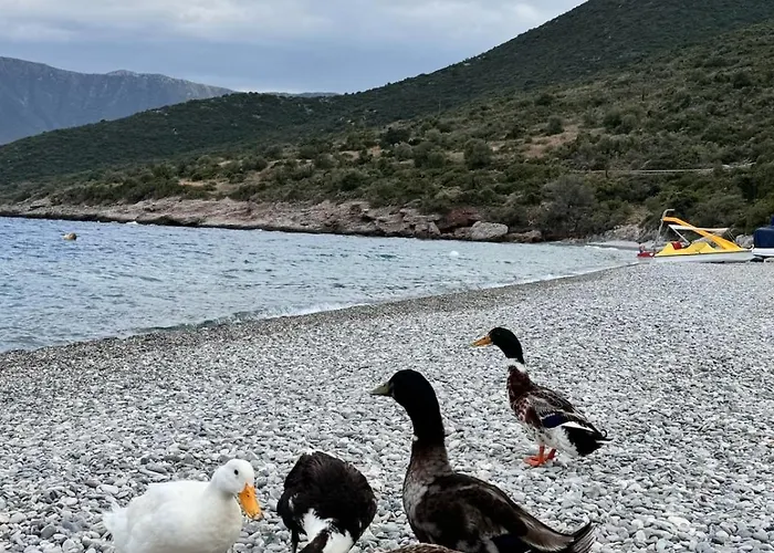 Διαμέρισμα Tsakoniki Filoxenia! Λεωνίδιο